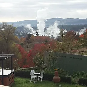 https://geyser-lookout.rotoruahotelsnz.com